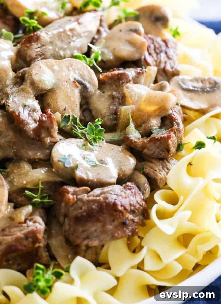 White plate filled with Beef Stroganoff on noodles with mushrooms.