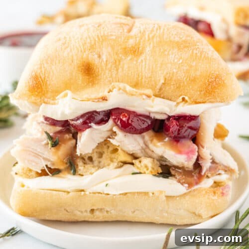 Turkey Cranberry Sandwich featured image