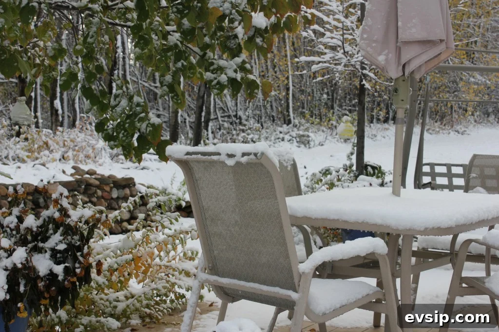 early snow on the deck