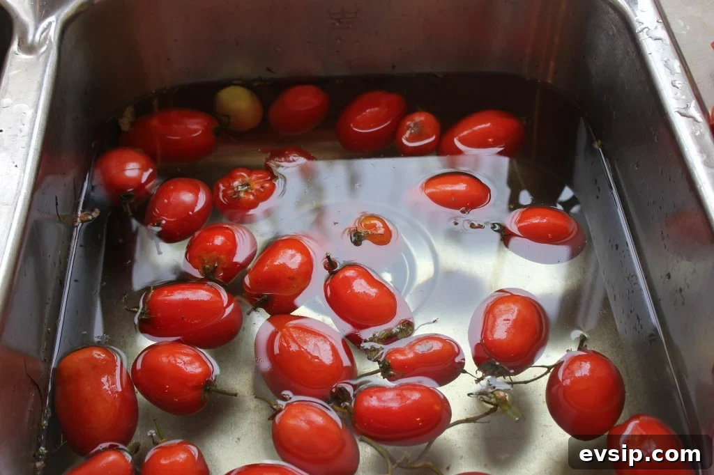 sink full of tomatoes