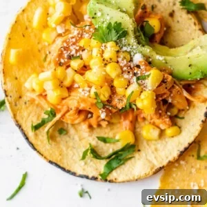 close up photo of a corn tortilla topped with chicken, corn and avocado
