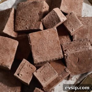 Chocolate Marshmallows Recipe: Homemade Gooey Chocolate Mallows 12 A pile of Chocolate Marshmallows.