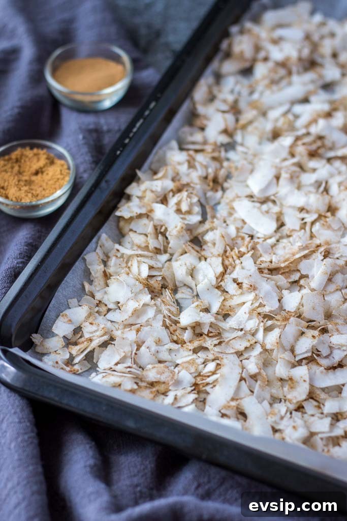 Cinnamon Coconut Chips recipe process