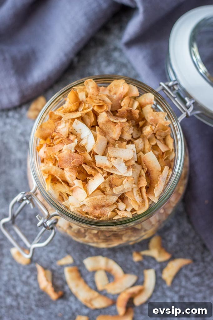 3 ingredient Coconut Chips recipe with cinnamon