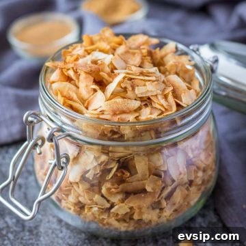 Healthy Coconut Chips recipe with cinnamon