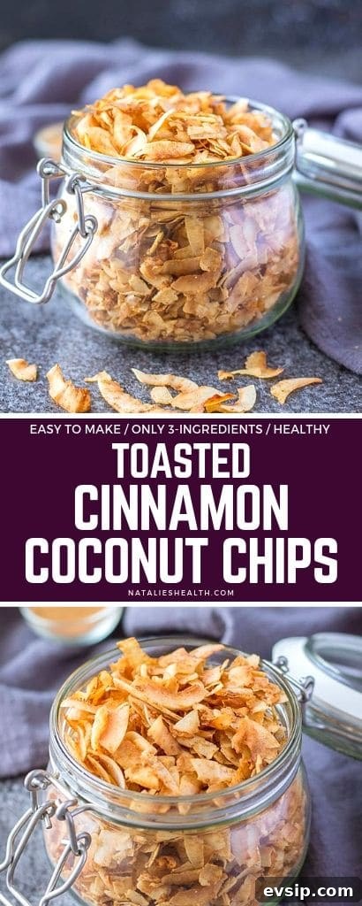 Crispy, sweet and salty, these toasted Cinnamon Coconut Chips are a great healthy snack idea. These tasty nibbles will satisfy any craving!