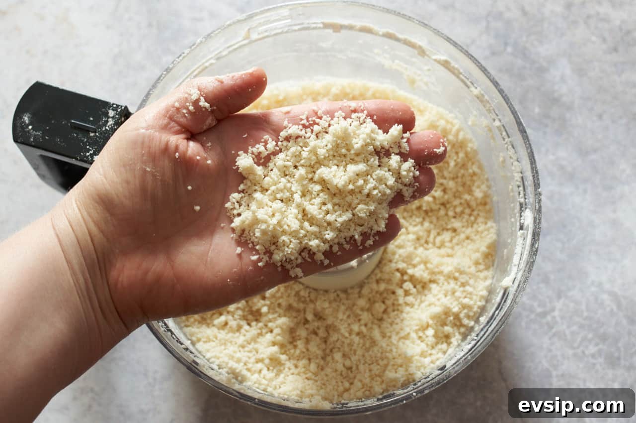 A woman's hand holding galette crust ingredients just after being blended in the food processor. It is the texture of wet sand.