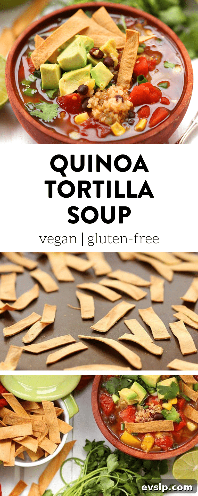 Hearty Vegetarian Tortilla Soup with Avocado and Lime 3 img 9958 2