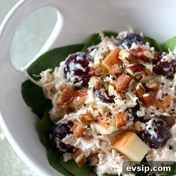 Hummus Chicken Salad with Lemon and Fresh Herbs 6 Greek Yogurt Chicken Salad