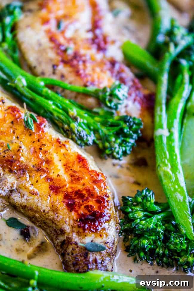Pan-Seared Chicken with Broccolini in Creamy Mustard Sauce 5 Pan-Seared Chicken and Broccolini in Creamy Mustard Sauce from The Food Charlatan