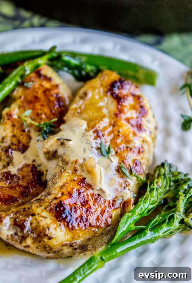 Pan-Seared Chicken with Broccolini in Creamy Mustard Sauce 6 Pan-Seared Chicken and Broccolini in Creamy Mustard Sauce from The Food Charlatan