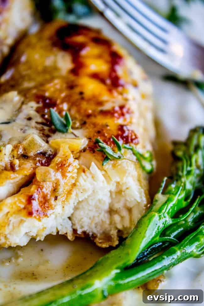 Pan-Seared Chicken with Broccolini in Creamy Mustard Sauce 9 Pan-Seared Chicken and Broccolini in Creamy Mustard Sauce from The Food Charlatan
