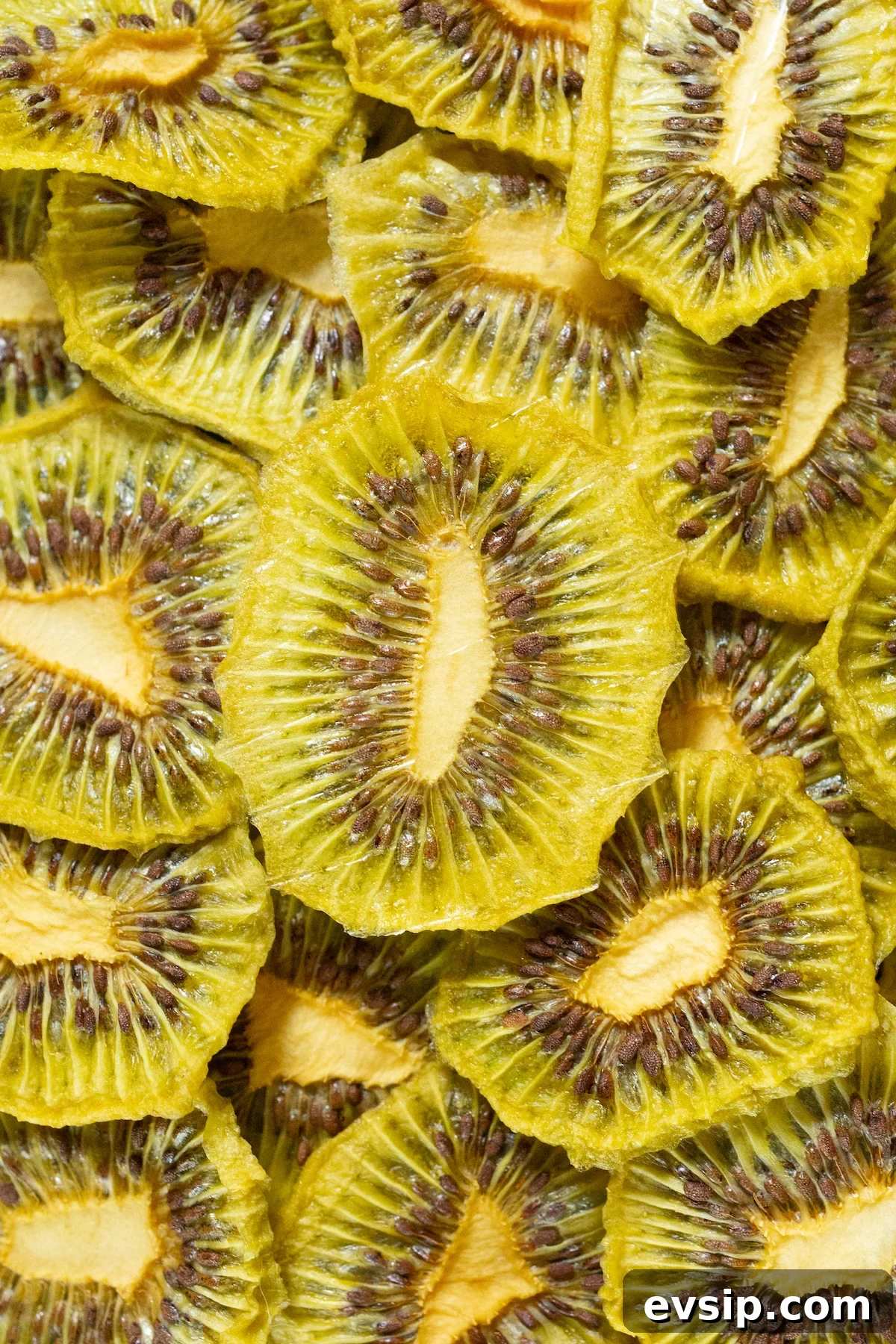 How to Make Dehydrated Kiwi Slices at Home 3 Close up of dozens of dehdyrated kiwi chips stacked on top of and around each other.