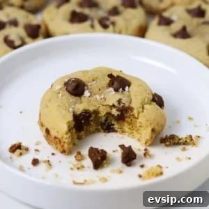 20 Sourdough Discard Recipes Perfect for Freezing 15 Sourdough Chocolate Chip Cookies - Recipe Feature Image