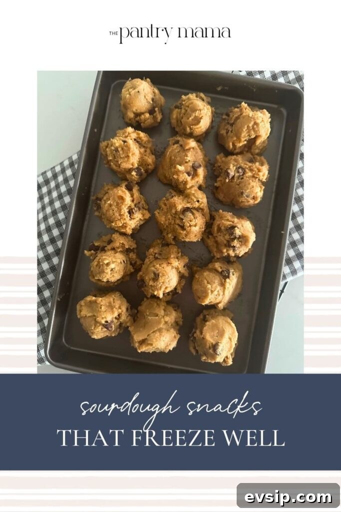 20 Sourdough Discard Recipes Perfect for Freezing 24 Sourdough discard recipes that freeze well - pinterest image.