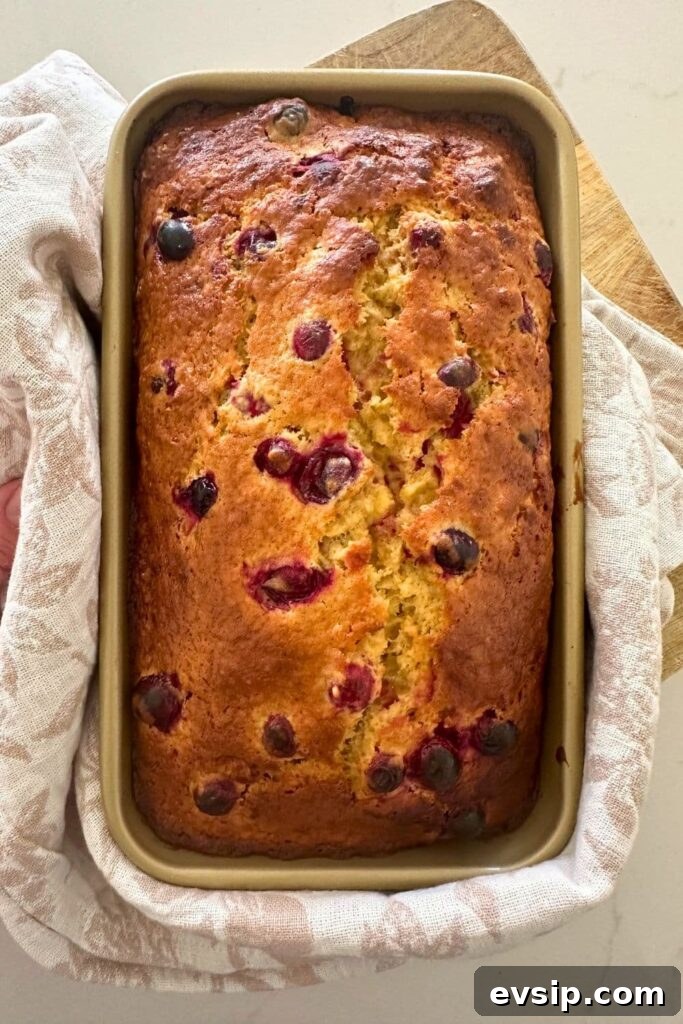 20 Sourdough Discard Recipes Perfect for Freezing 5 A loaf of sourdough cranberry banana bread baked in a gold loaf pan that has just been pulled out of the oven and placed onto a floral dish towel to cool.