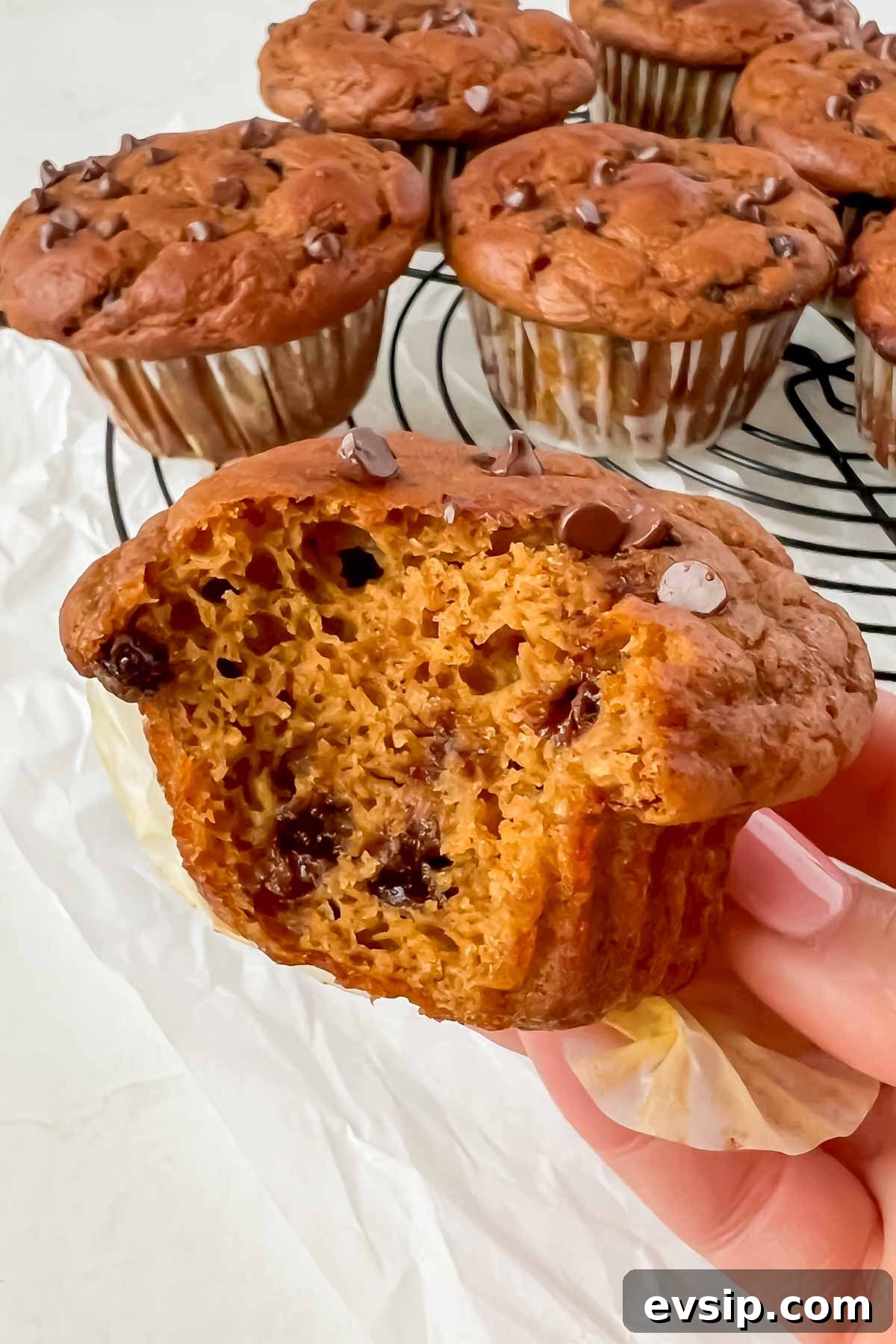bite taken out of pumpkin protein muffin with additional muffins in background.