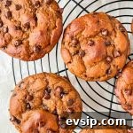 pumpkin chocolate chip muffins on black wire rack.